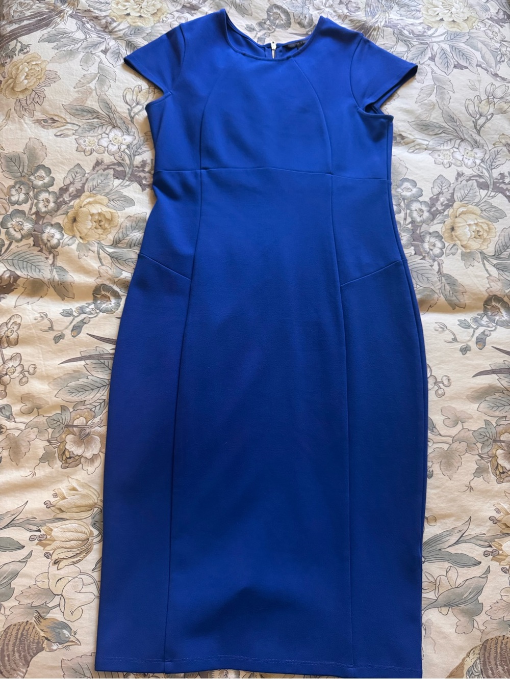 Classic Women's Sheath Dress in Royal Blue Felicity and Coco XL
